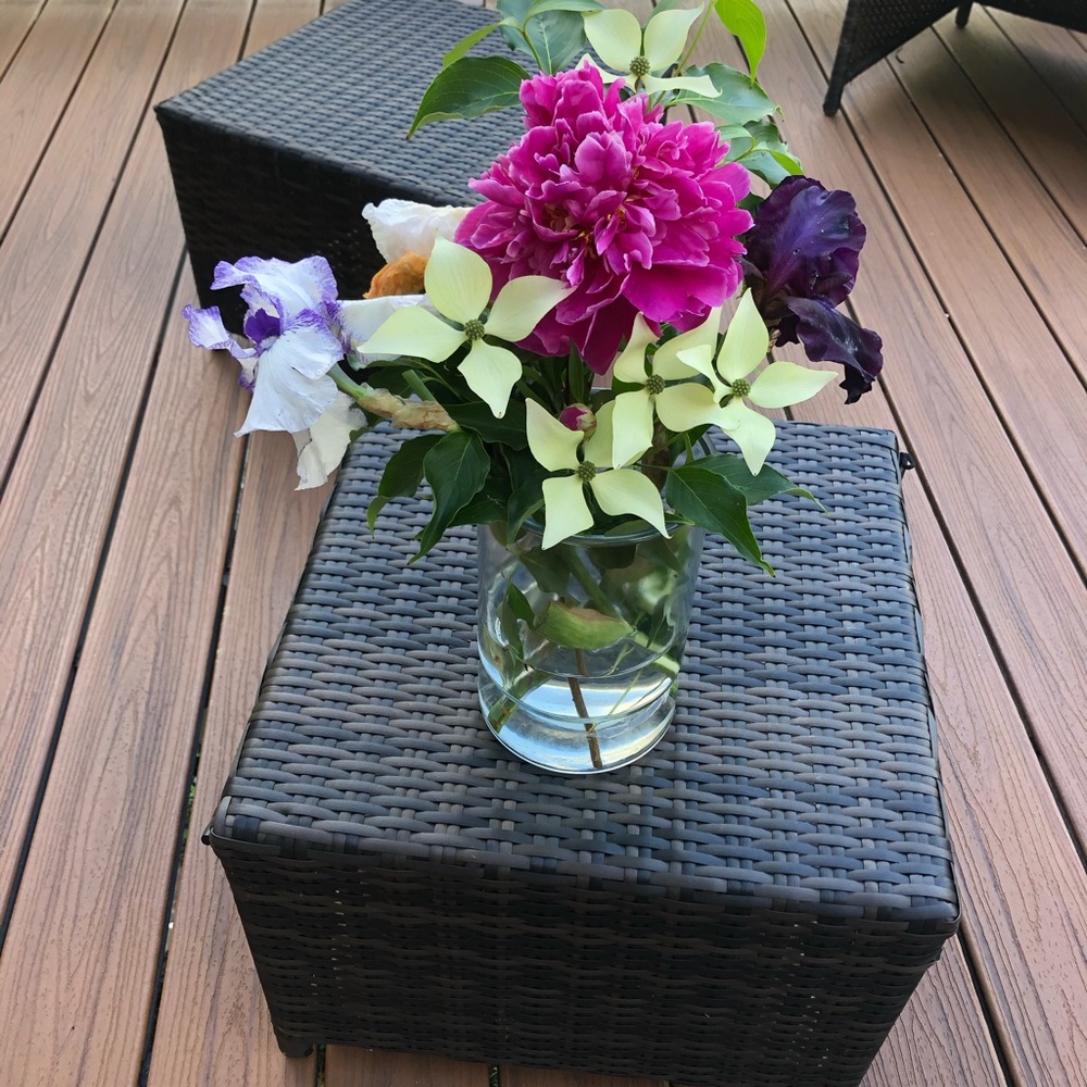 Meet your Posher, Lara